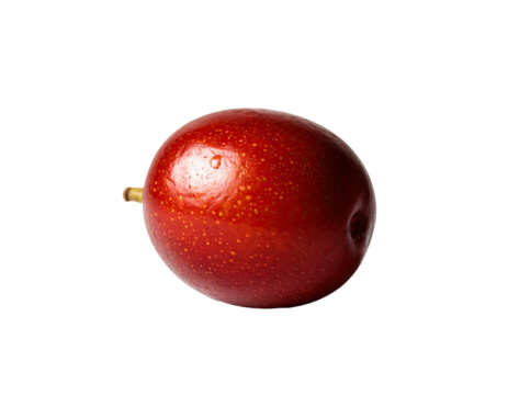 Single, vibrant red fruit, oval shape, speckled texture, small stem