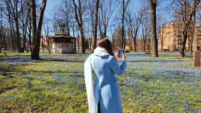Slow motion, woman in Riga Latvia filming blue hepatica flowers foldable phone