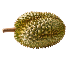 A whole durian fruit, light green and pale yellow, with spiky, triangular scales.?A brown stem is visible