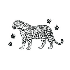 Majestic leopard standing amidst paw prints stylized wildlife art silhouette
