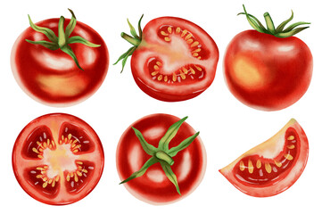 Set of tomatoes. Fresh tomato, watercolor, isolated on white background. Hand-drawn watercolor. Vegetables. Ideal for brand packaging design, corporate identity, eco-products, agriculture, menu