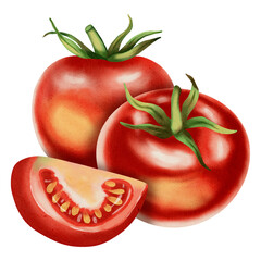 Set of tomatoes. Fresh tomato, watercolor, isolated on white background. Hand-drawn watercolor. Vegetables. Ideal for brand packaging design, corporate identity, eco-products, agriculture, menu