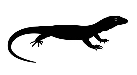 Silhouette of a black lizard with a long tail standing on a plain white surface isolated.