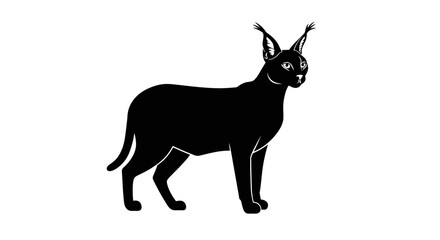 Striking silhouette of a black caracal standing proudly with tasseled ears