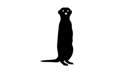 Silhouette of a standing meerkat alertly surveying its surroundings with a dark outline against a plain backdrop