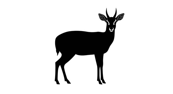 Elegant silhouette of a dik-dik antelope standing proudly with delicate horns majestic african wildlife