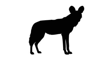 African wild dog silhouette standing proudly majestic african wild dog animal silhouette © Hridoy