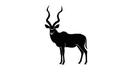 Elegant silhouette of a greater kudu antelope with majestic spiral horns