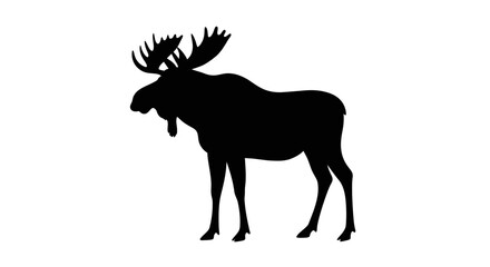 Majestic black silhouette of a moose standing tall with impressive antlers