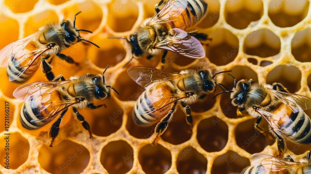 Poster close-up of bees collecting nectar and creating honeycomb in a vibrant beehive environment