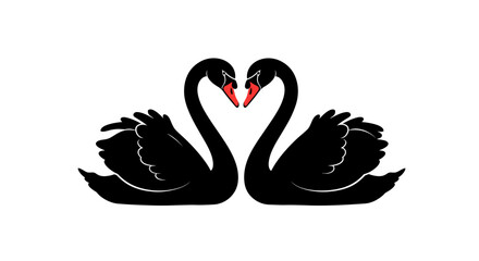 Elegant black swans forming heart shape symbolizing love and romance graceful aquatic birds