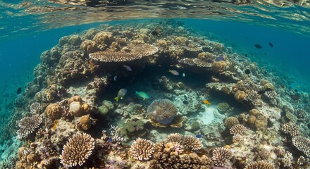 Fototapeta premium サンゴ礁の楽園 透き通る水 色鮮やか魚群泳ぐ. AI Generated