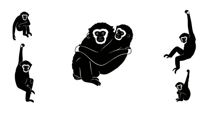 Silhouettes of gibbons swinging and embracing depicting primate family and agile movement