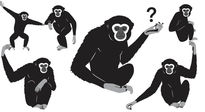 Collection of dynamic gibbon monkey poses silhouettes hand drawn style black and white