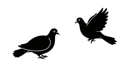 Two silhouette pigeons one standing still one flying gracefully wildlife bird art