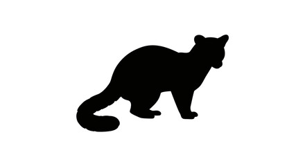 Silhouette of a black raccoon standing alert with its tail curled showing its distinctive markings and fur texture
