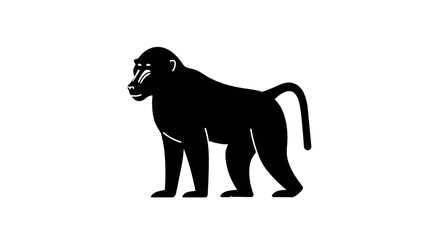 Silhouette of a baboon standing alertly showcasing its powerful physique and distinctive canine teeth