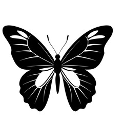 Vector silhouette of a butterfly with beautiful wings.