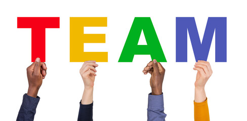 Team - hands holding colorful letters  isolated on white or transparent background 