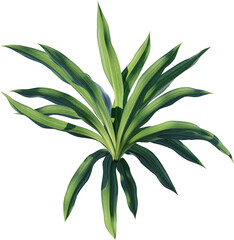 leaf, plant, nature, flower, leaves, isolated, branch, tree, vector, spring, flora, olive, macro, illustration, summer, floral, botany, closeup, herbal, green, decoration, herb, close-up, garden,