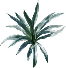 leaf, plant, nature, flower, leaves, isolated, branch, tree, vector, spring, flora, olive, macro, illustration, summer, floral, botany, closeup, herbal, green, decoration, herb, close-up, garden,