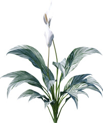 flower, nature, plant, vector, floral, leaf, illustration, lily, pattern, spring, art, design, flowers, decoration, summer, blossom, beauty, branch, ornament, flora, color, wallpaper, bouquet, garden,