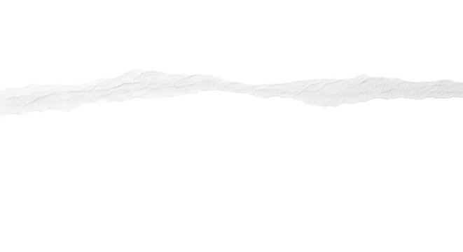 Torn paper edge isolated on transparent background, representing a separation or a break in continuity, with a rough, uneven texture that adds a tactile element to the visual