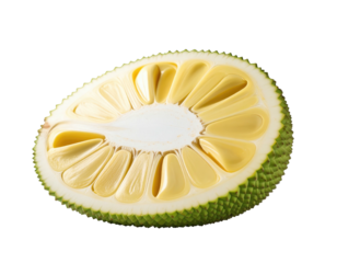 Half of a jackfruit, cut lengthwise, showing the inner pale yellow flesh and green rind