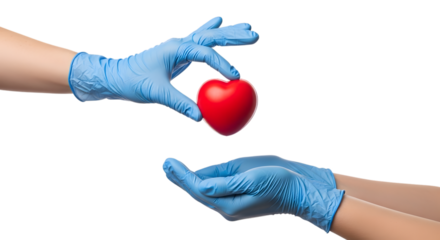 Two hands wearing blue medical gloves, one hand holding a red heart and the other hand reaching out to receive it, isolated on transparent background