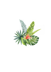 Watercolor bouquet tropical leaves and flowers isolated on white background.ai