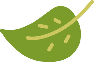 vector illustration of a green leaf