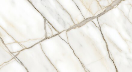 White Marble Texture with Gold and Gray Veins
