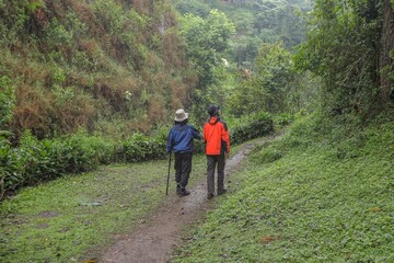Two Hikers Exploring Lush Green Forest Trail And Enjoying Beauty Nature And Peaceful Outdoor Adventure