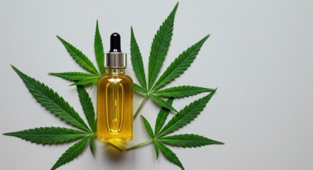 Hemp Oil in Glass Bottle with Fresh Cannabis Leaves on Gray Background