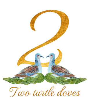 Watercolor illustration of a golden number 2 with two turtle doves and text, inspired by The 12 Days of Christmas. Perfect for festive cards, prints, and holiday decor.