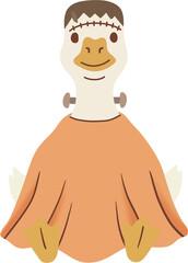 The duck or ghost goose is cute on Halloween. It has a knot in its neck. It has a scar on its forehead and is in an orange Frankenstein costume.