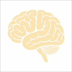 Brain Icon Symbol