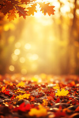 Golden autumn forest floor covered in colorful fallen leaves and sunbeams
