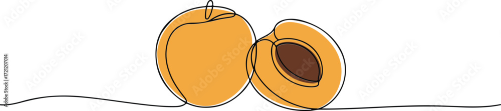 Poster continuous one line drawing of apricot with one whole and one half showing seed in minimalistic vect