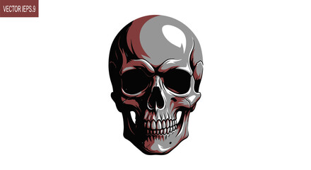 Detailed vector illustration of a human skull against a plain white background bringing forth an