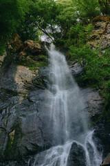 Obraz premium Waterfall cascading down rocky cliff surrounded by lush green trees, creating a serene and natural landscape full of fresh water and vibrant foliage.