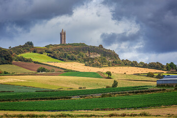 ural Landscape beside Scrabo Tower Killynether Wood Harvest