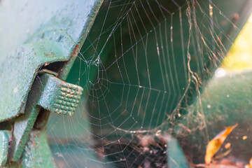 Detailed close-up of a spider web on an old green metal surface. The web is illuminated by natural...
