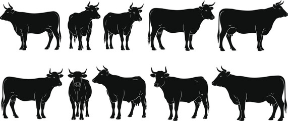 Cow silhouette collection, farm animal graphic, black illustration, livestock posture, cattle shape, rural theme, agriculture icon, minimal design, grazing cow art