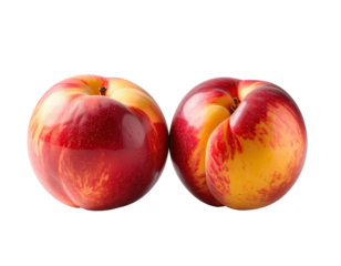 Two vibrant, ripe peaches, red and yellow, facing each other, isolated on black
