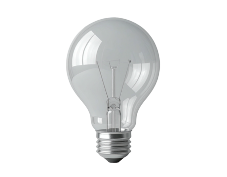 Clear incandescent light bulb (1)