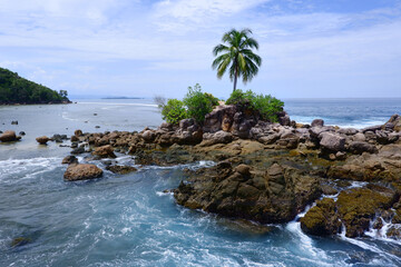 Obraz premium Rocky Tropical Coast with Palm Tree and Green Cliff