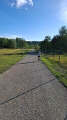Rear-view jogger on a country path under blue sky, low sunlight. Vertical image perfect for fitness ads, mobile wallpapers and health article visuals. 