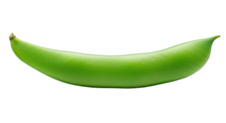 Single green broad bean pod isolated PNG with Transparent Background