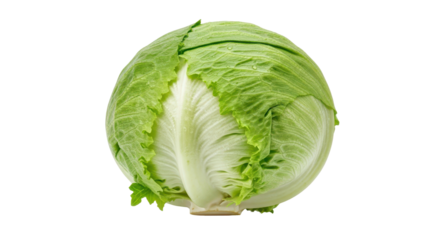 Iceberg lettuce head for fresh salad ingredient isolated PNG with Transparent Background